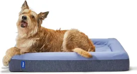 Casper Dog Bed, Plush Memory Foam, Medium, Blue