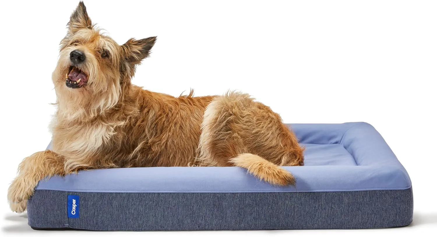 Casper Dog Bed, Plush Memory Foam, Medium, Blue