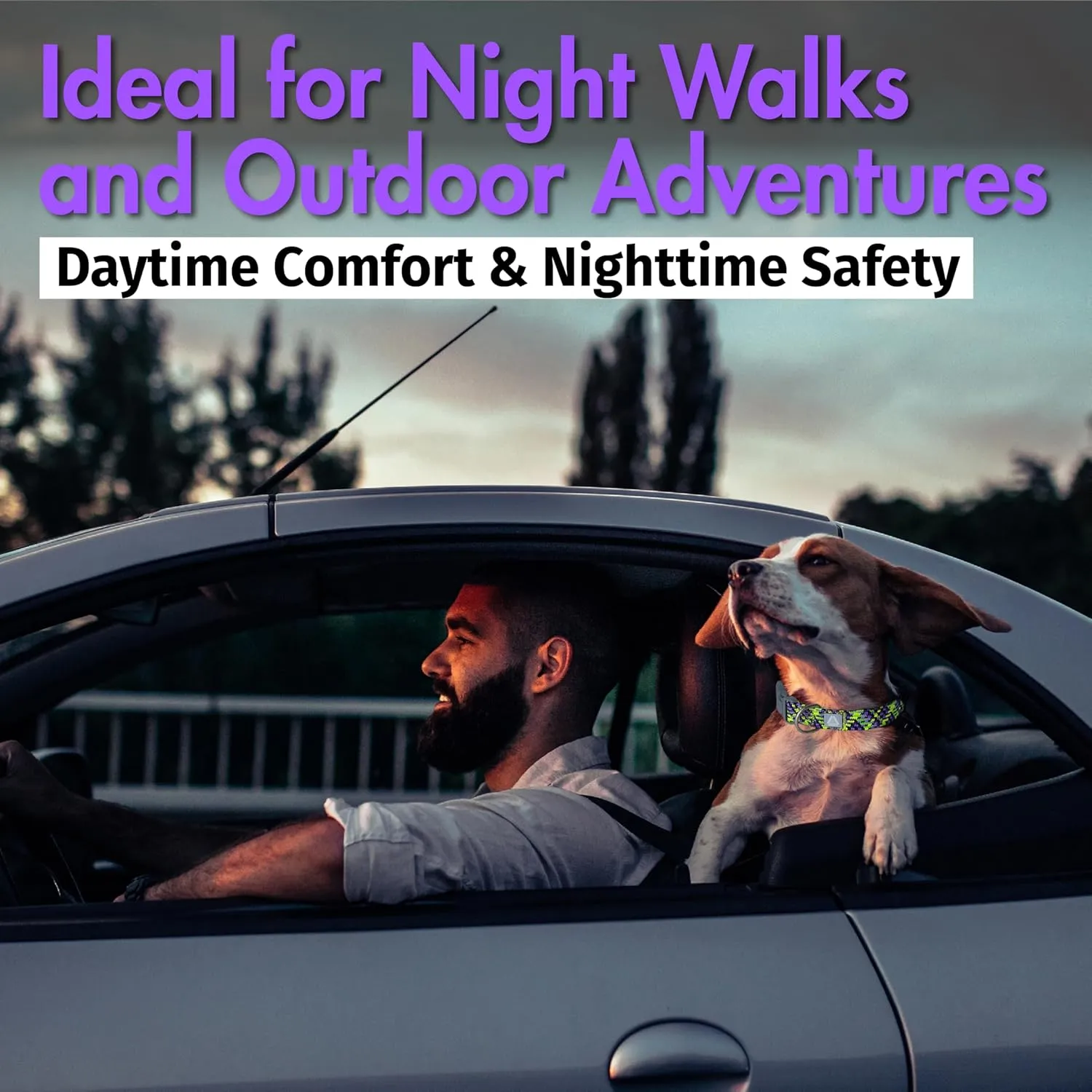 Dog Collar, Purple Reflective Nylon Collar with Safety Lock, Adjustable Neck 16-25, Soft and Durable for Large Dogs