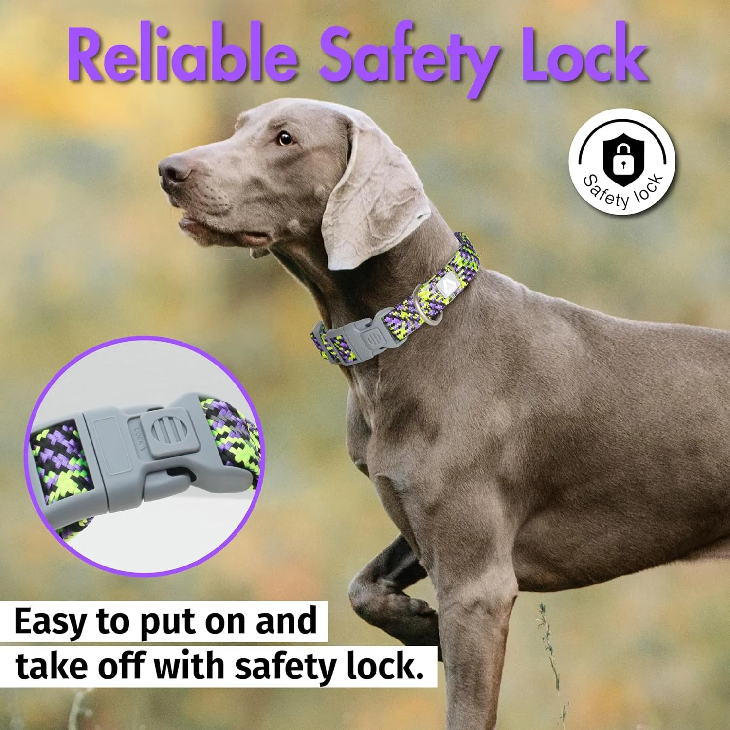 Dog Collar, Purple Reflective Nylon Collar with Safety Lock, Adjustable Neck 16-25, Soft and Durable for Large Dogs