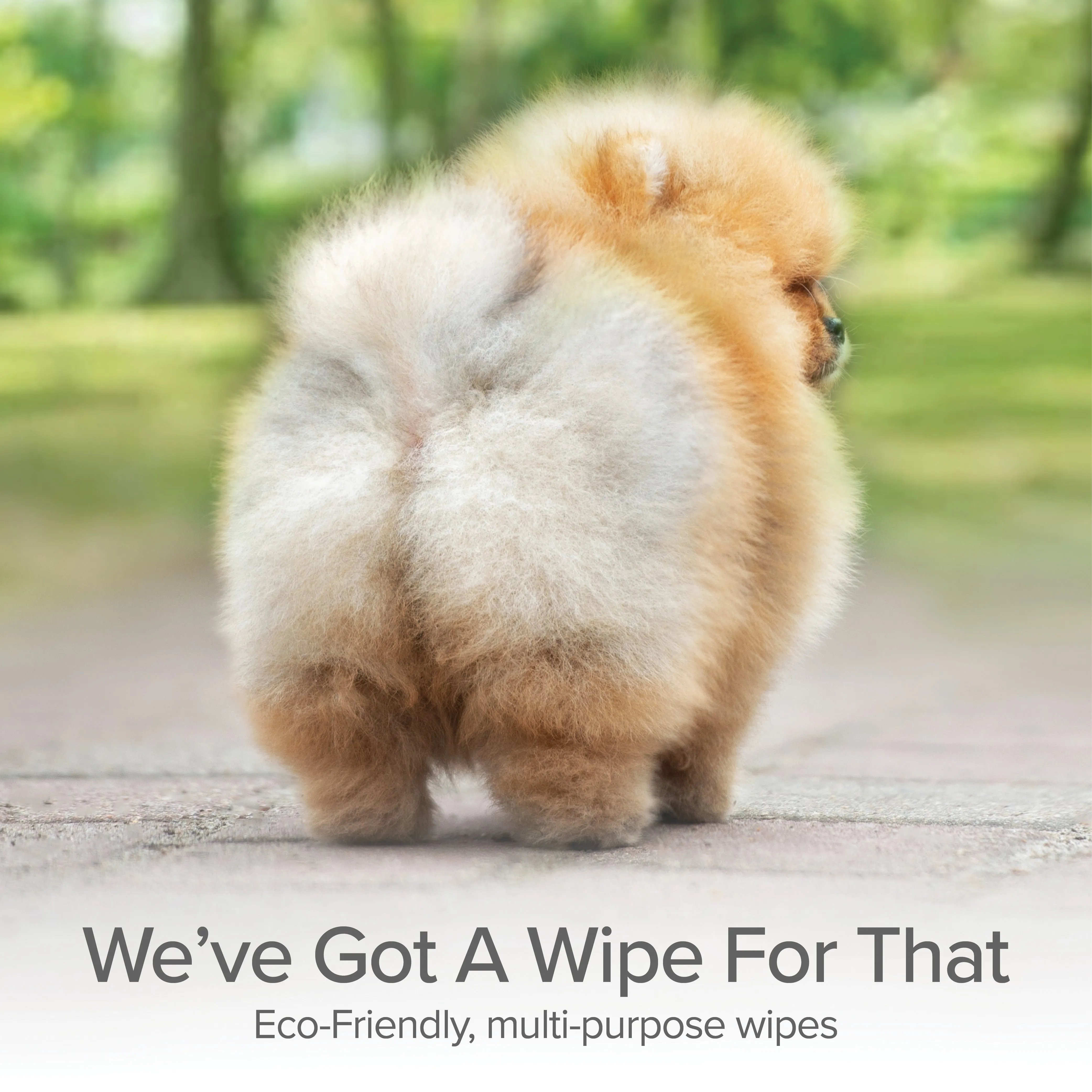 Extra Extra Large Disposable Wipes (Hypoallergenic Fragrance-Free)
