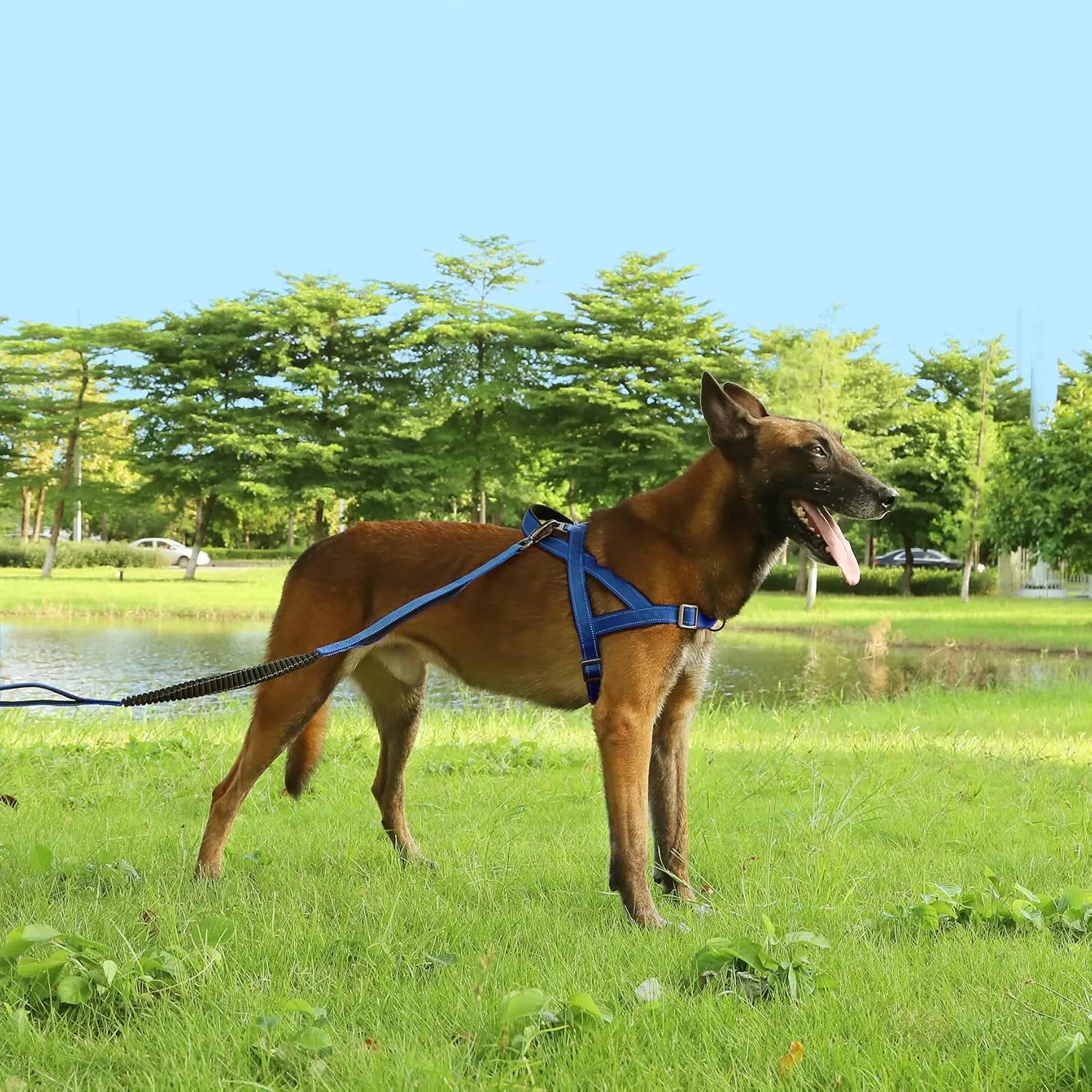 No Pull Dog Harness, Reflective Puppy Harness with Soft Padded Handle, Escape Proof/Quick Fit Adjustable Pet Harness for Small Medium Large Dogs, Easy for Training Walking (Blue, L)