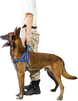 No Pull Dog Harness, Reflective Puppy Harness with Soft Padded Handle, Escape Proof/Quick Fit Adjustable Pet Harness for Small Medium Large Dogs, Easy for Training Walking (Blue, L)