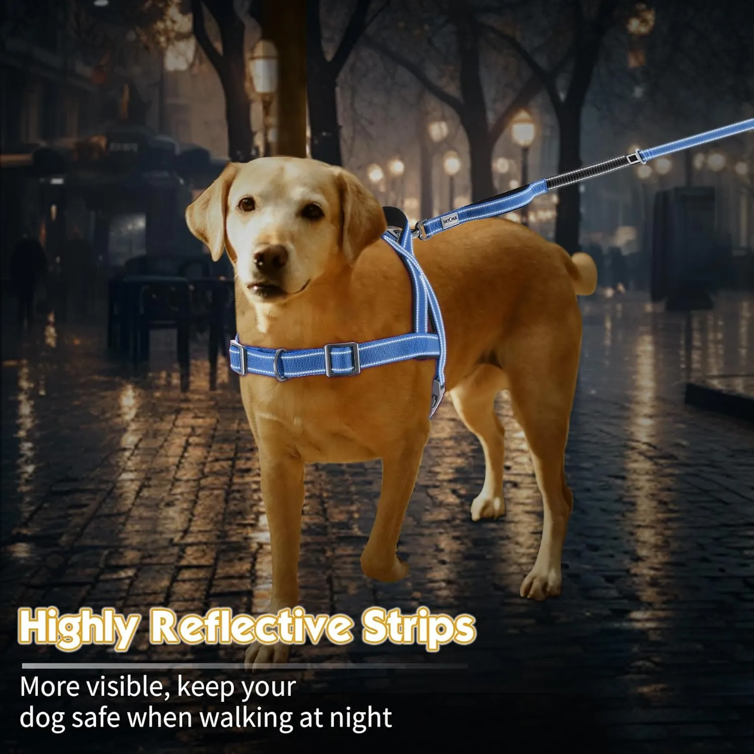 No Pull Dog Harness, Reflective Puppy Harness with Soft Padded Handle, Escape Proof/Quick Fit Adjustable Pet Harness for Small Medium Large Dogs, Easy for Training Walking (Blue, L)