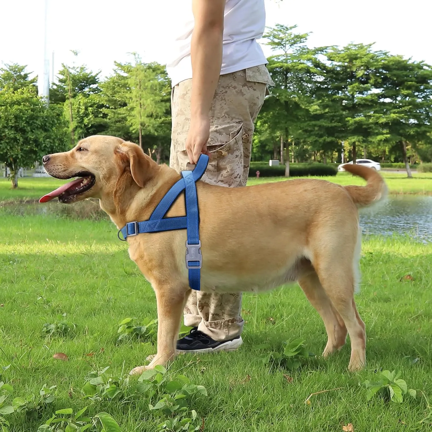 No Pull Dog Harness, Reflective Puppy Harness with Soft Padded Handle, Escape Proof/Quick Fit Adjustable Pet Harness for Small Medium Large Dogs, Easy for Training Walking (Blue, L)