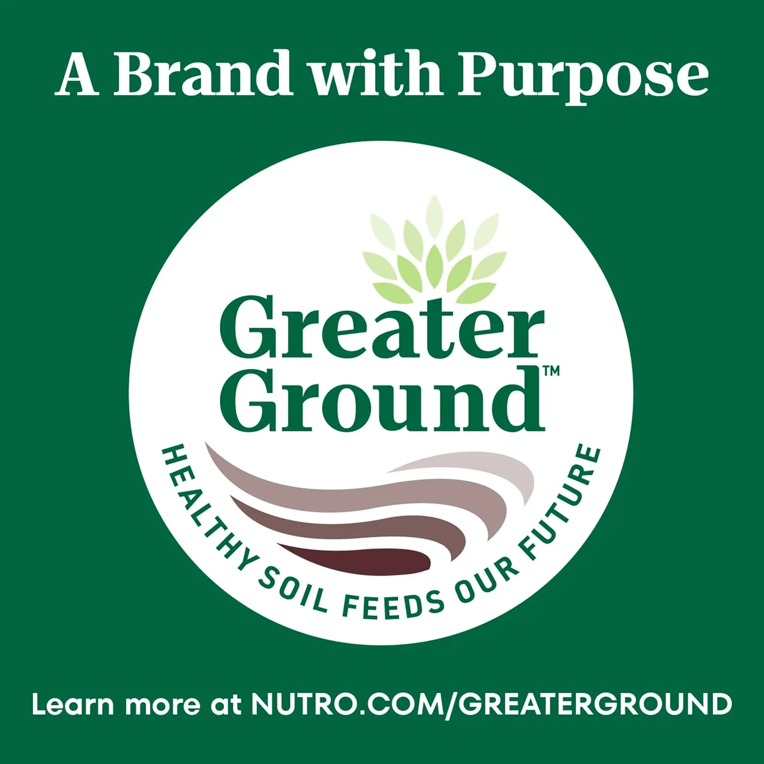 Nutro Wholesome Essentials Indoor Dry Cat Food, Chicken & Brown Rice Recipe, 5 lb. Bag
