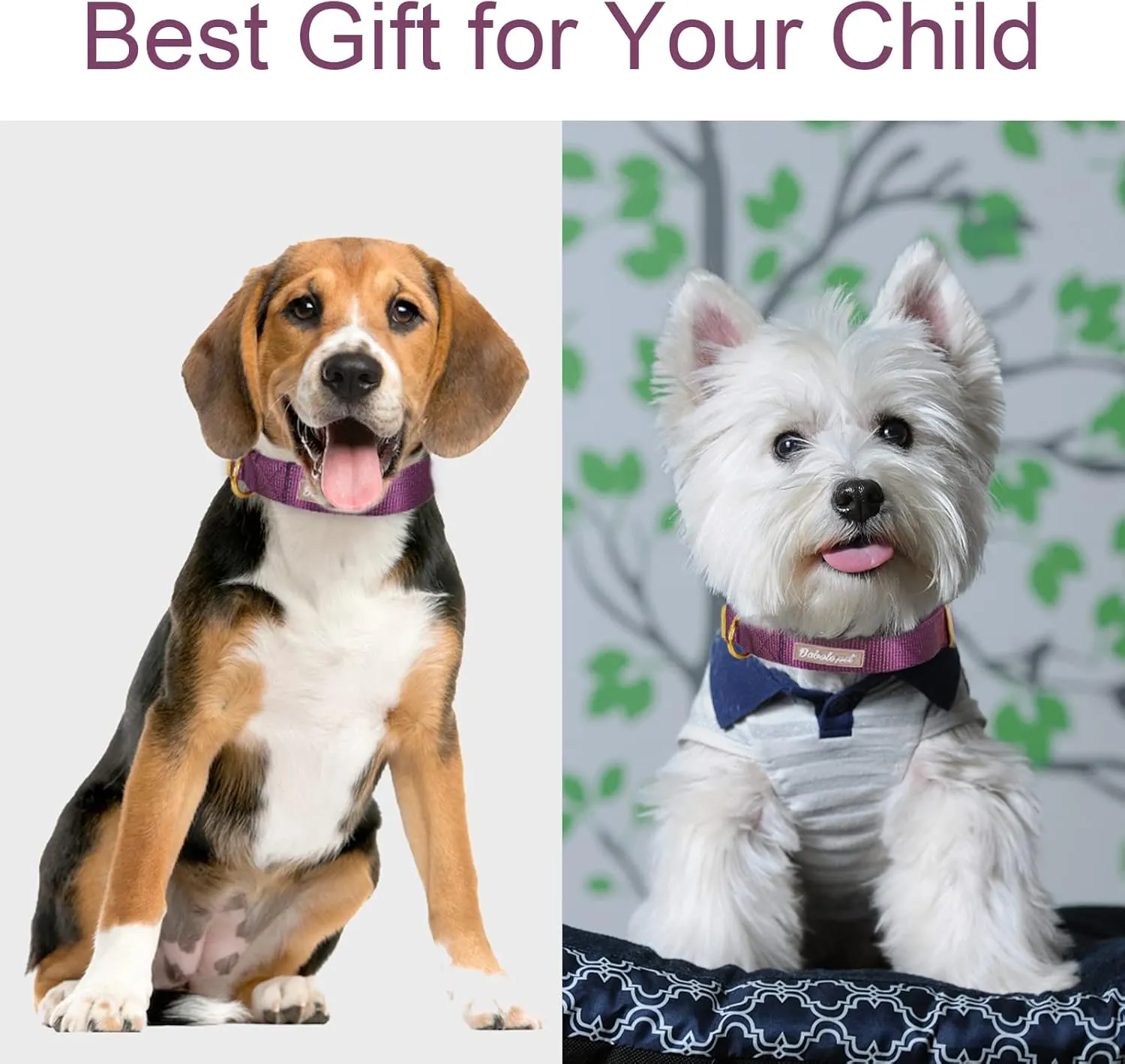 Nylon Dog Collar - Adjustable Deep Purple Soft Webbing Dog Collars for Small Medium Large Dogs Boy Girl Puppy Collar with Safety Metal Buckle XS
