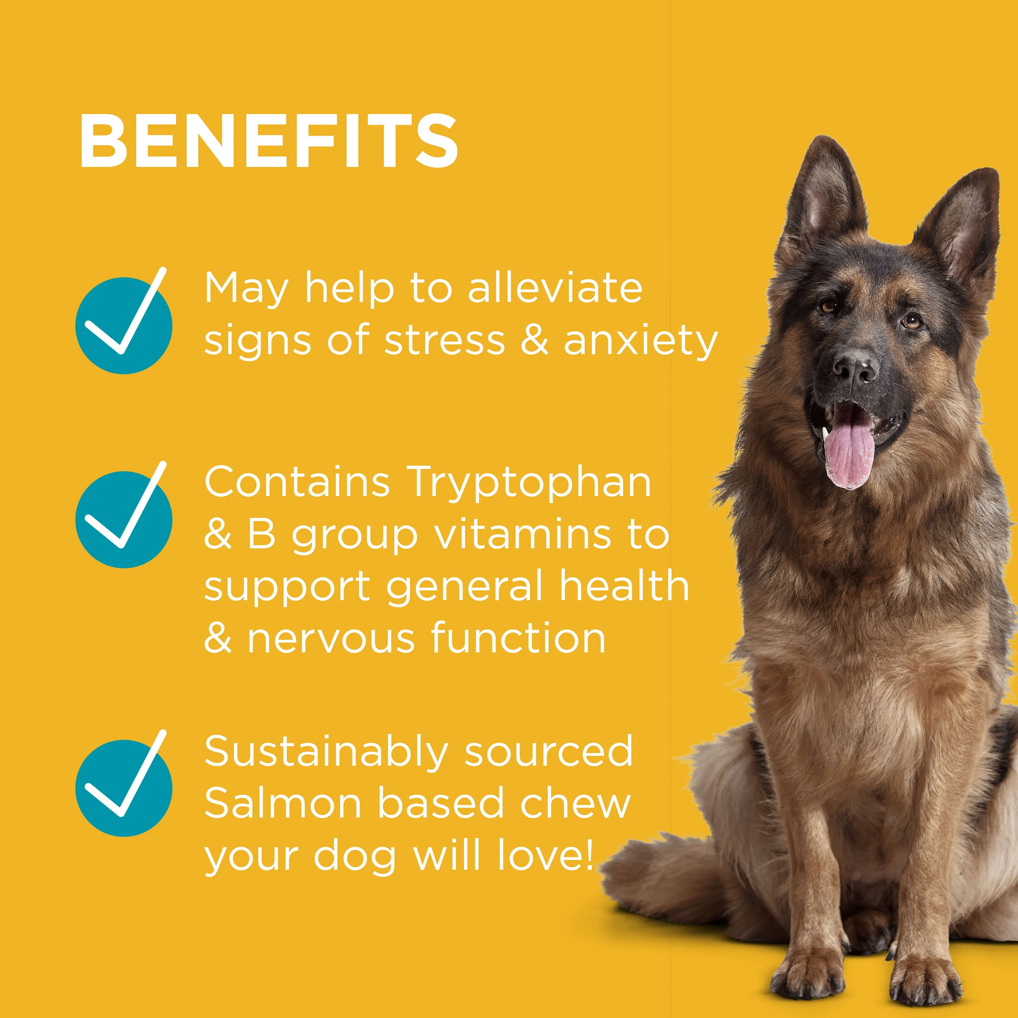 PAW Complete Calm Chews 300g