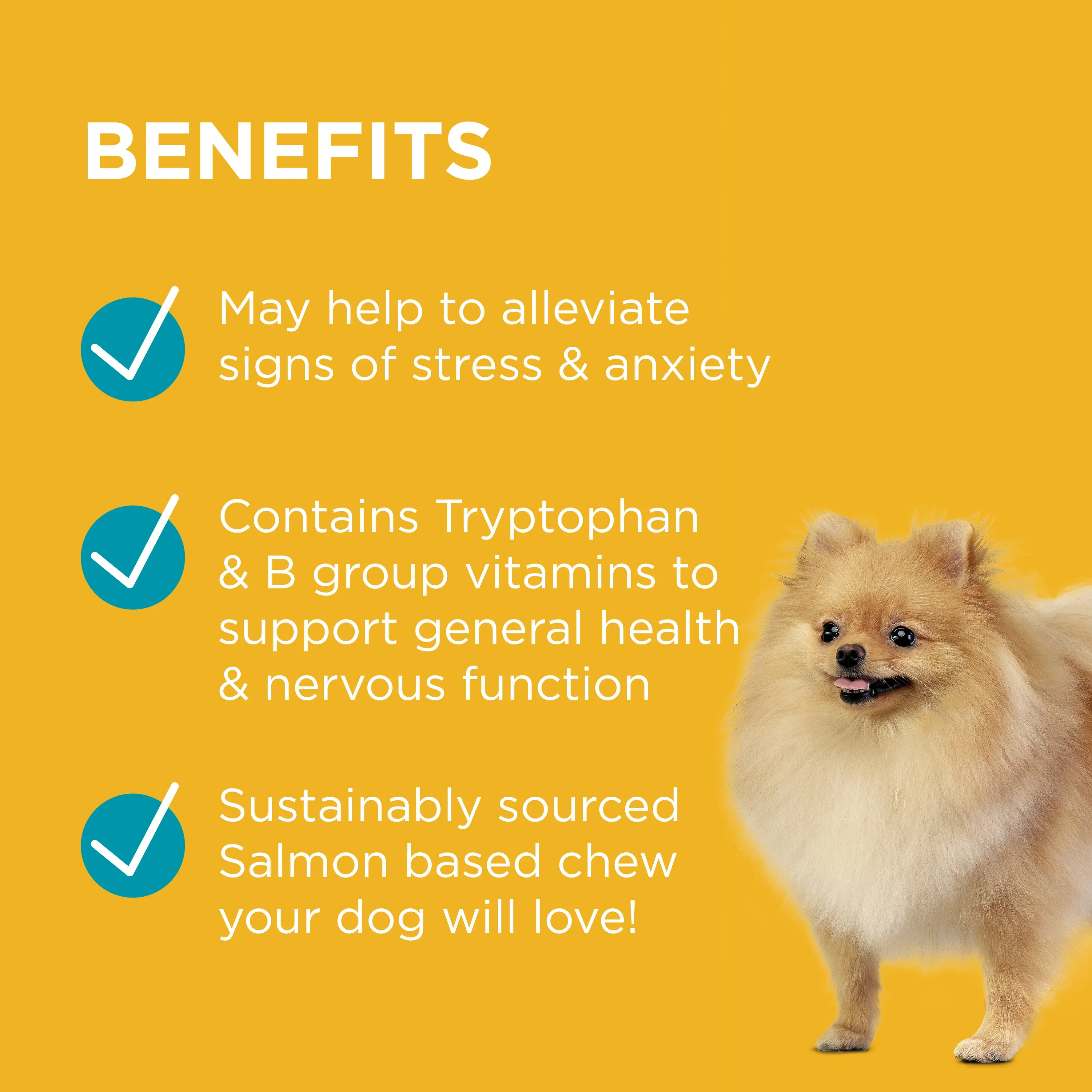 PAW Complete Calm Chews Small Dogs