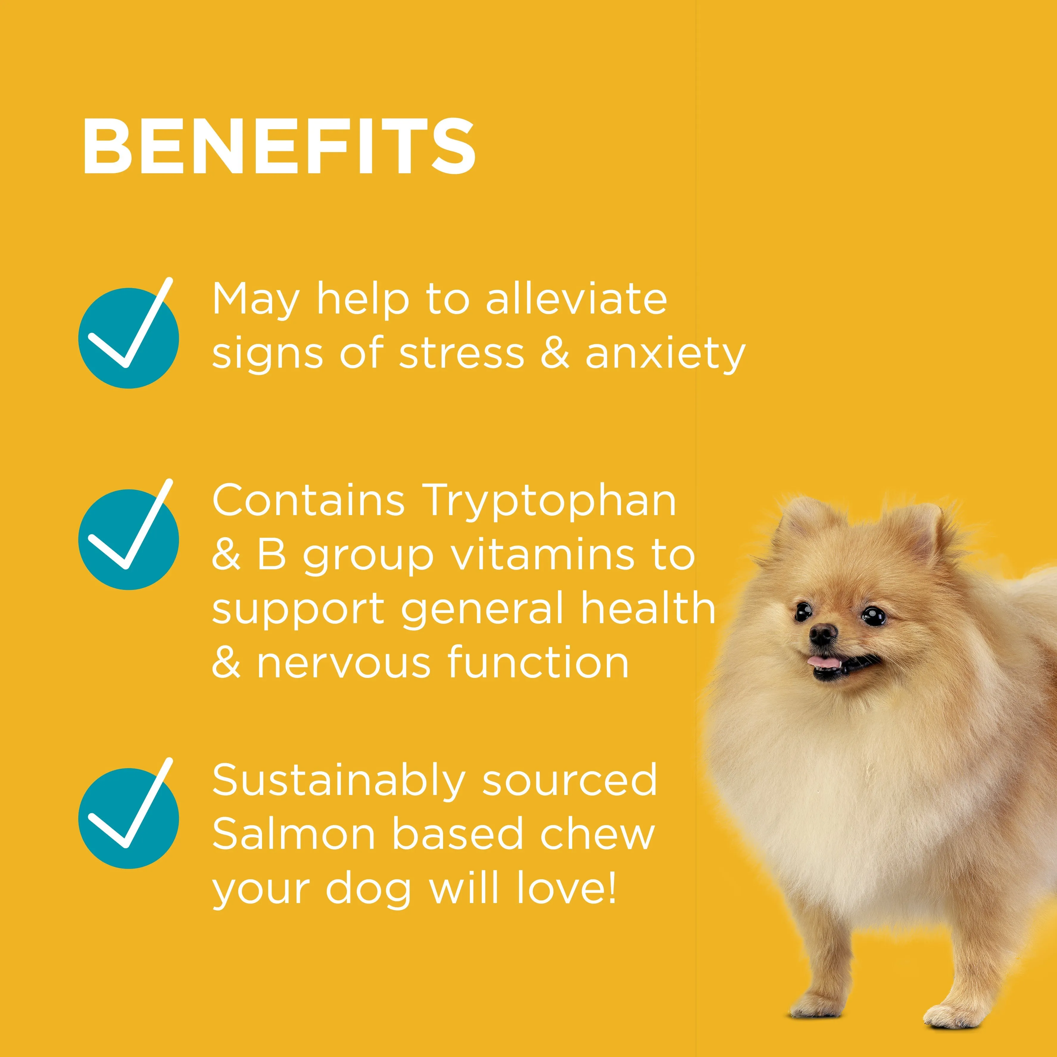PAW Complete Calm Chews Small Dogs