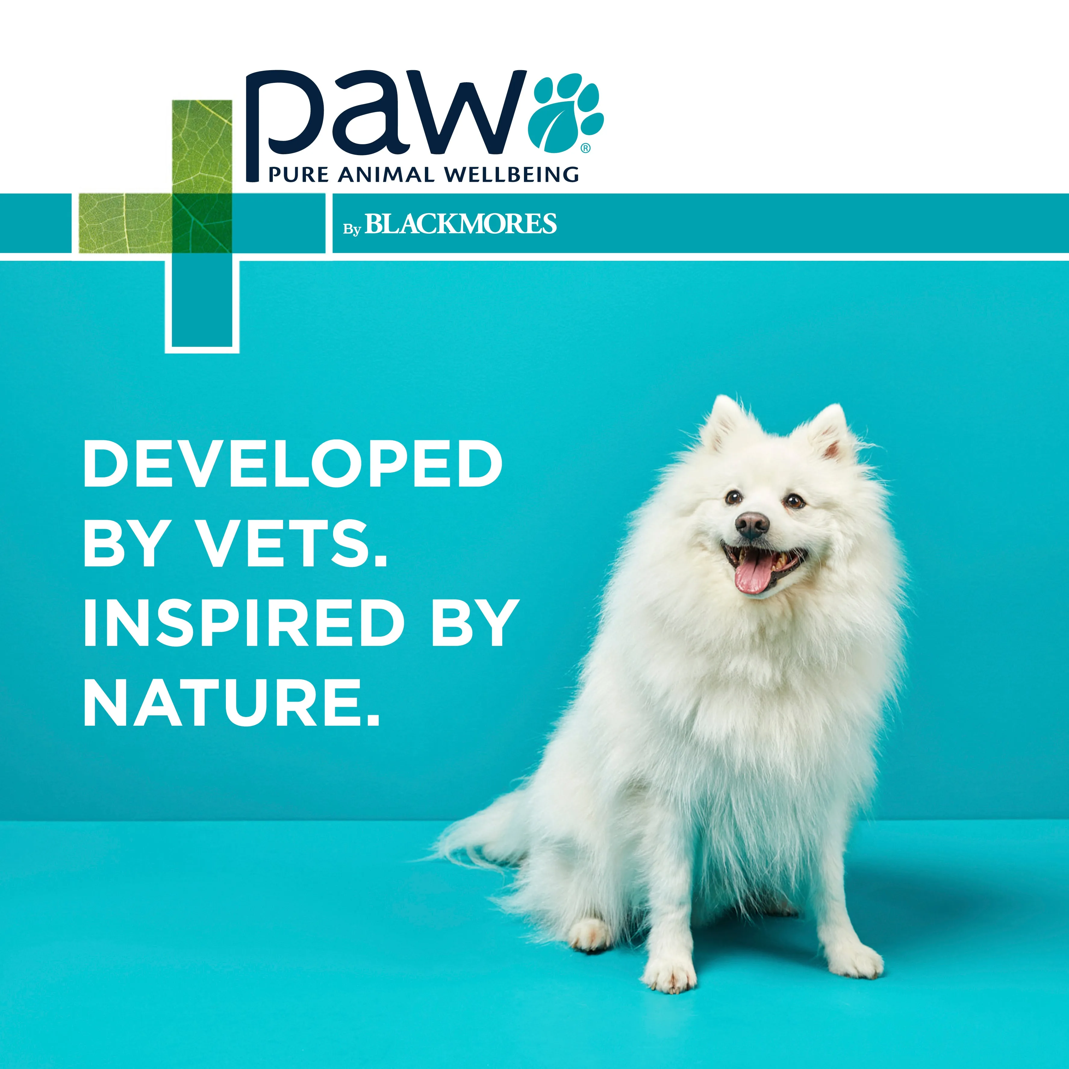 PAW Complete Calm Chews Small Dogs