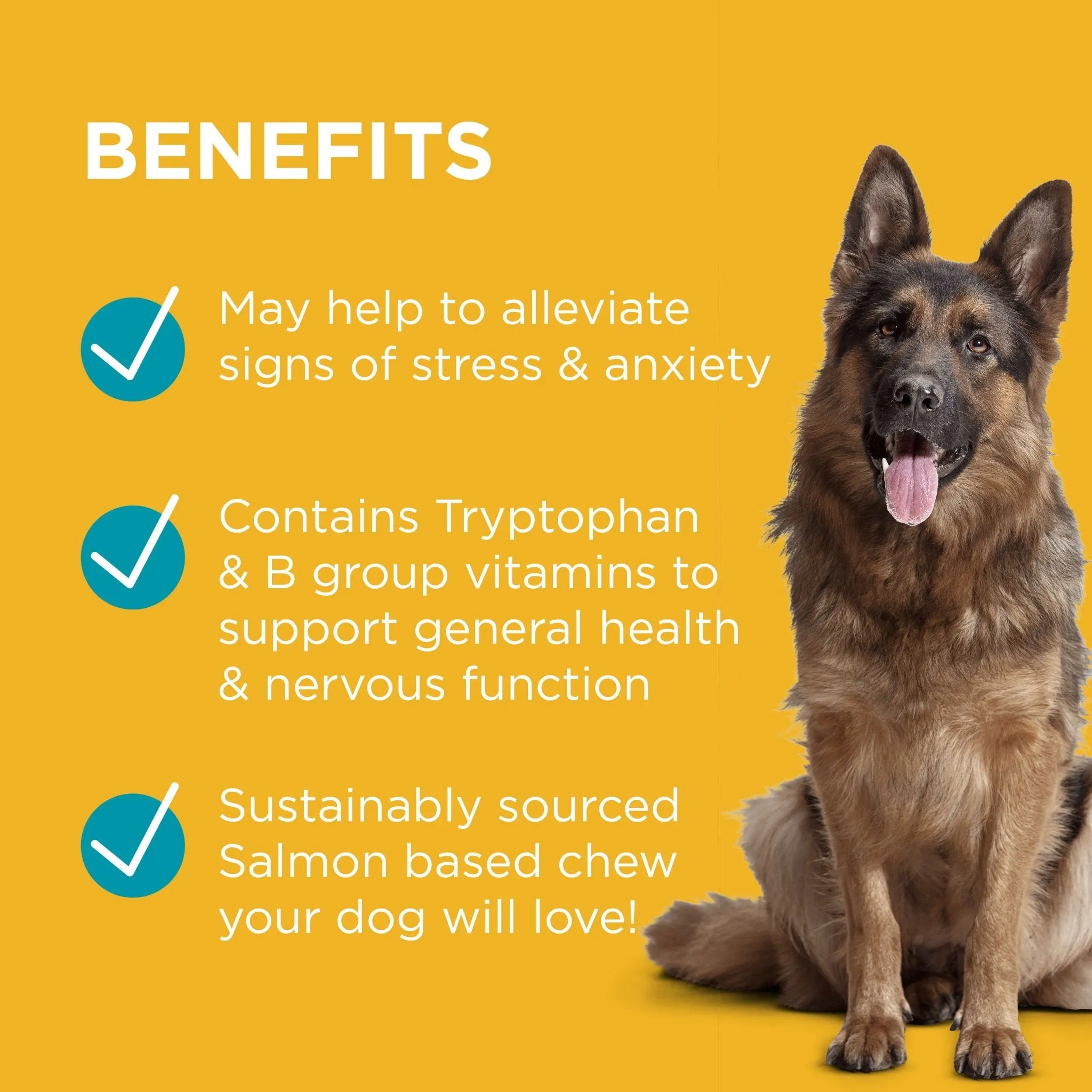 PAW Complete Calm Chews