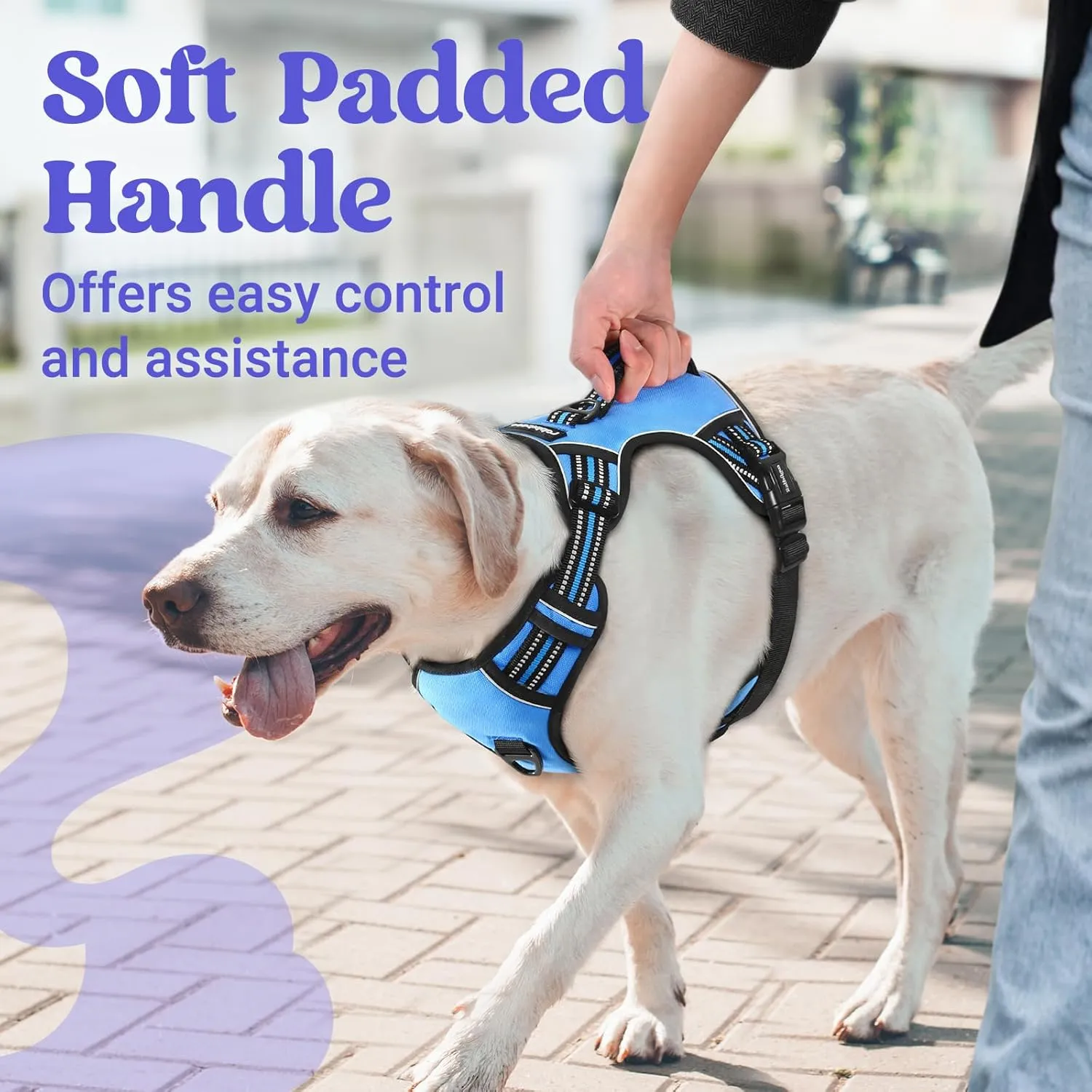 rabbitgoo Dog Harness for Large Dogs, No Pull Pet Harness with Soft Padded Handle, Adjustable Reflective Vest with 3 Buckles, Easy Walking Harness with 2 Leash Clips, Light Blue, XL
