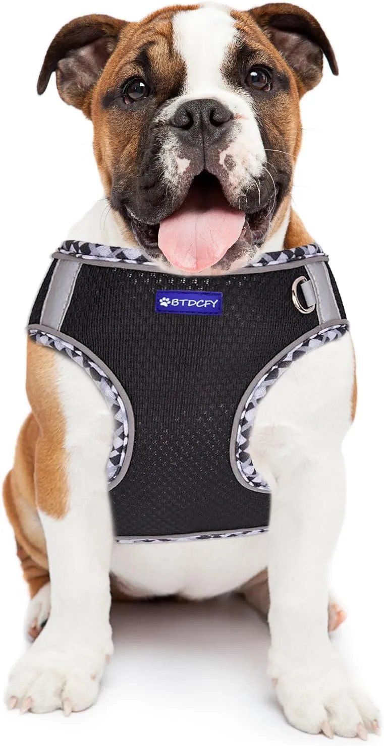 Step in Mesh Dog Harness and Leash Set, Breathable Air Mesh, Reflective, Escape Proof, No Choke, Lightweight, Black, M(neck:12"-13.5",chest:16"-18")