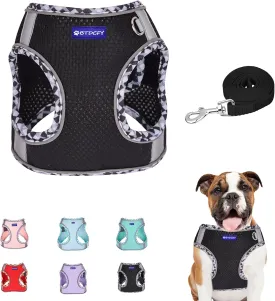 Step in Mesh Dog Harness and Leash Set, Breathable Air Mesh, Reflective, Escape Proof, No Choke, Lightweight, Black, M(neck:12"-13.5",chest:16"-18")