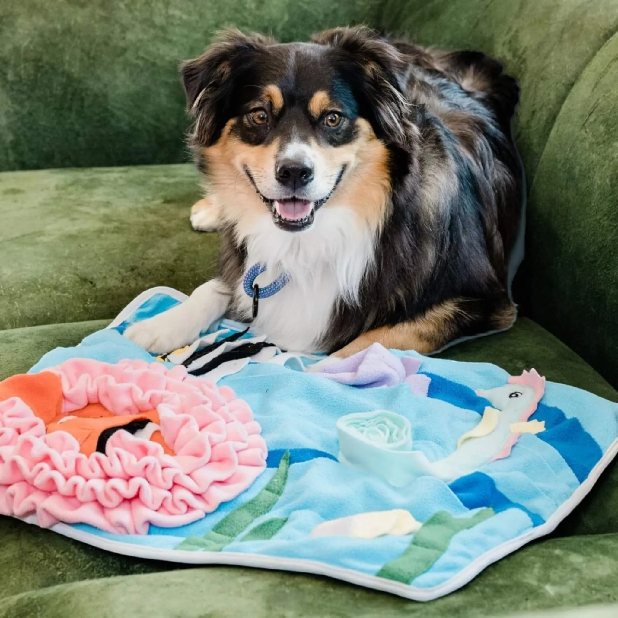 Under the Sea Snuffle Feeding Mat